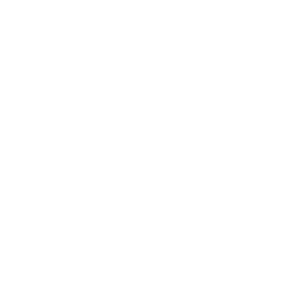 Seguro Garantia Judicial Trabalhista 7